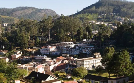 Mysore Ooty Coorg Tour Package: Adventure Awaits in South India