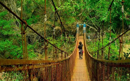 Family Holiday to Guwahati & Shillong – Scenic & Serene Escape