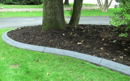Lawn Edging: The Unsung Hero of Beautiful Landscapes