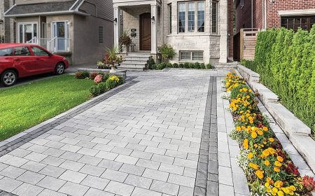 Paver Stones: The Ultimate Guide to a Beautiful, Durable Outdoor Space