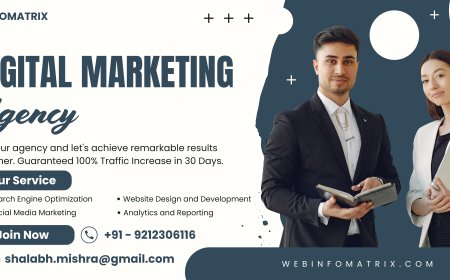 Webinfomatrix SEO Agency: Real Results, Fast Growth