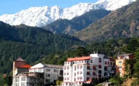 How to Reach Dharamshala Himachal Pradesh: All Options