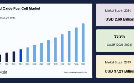 Solid Oxide Fuel Cell Market: Regional Outlook and Competitive Landscape Evolution, Forecast to 2033