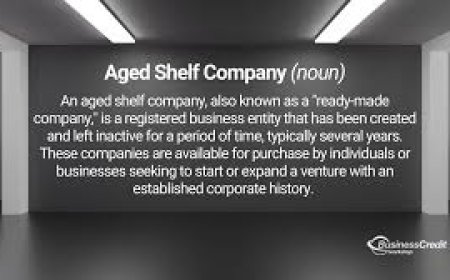 Buy an Aged LLC: The Comprehensive Guide for Savvy Entrepreneurs