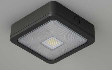 LED Canopy Lights: Efficient Illumination for Modern Needs