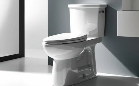 Best Flush Toilets for Clean, Efficient Washrooms