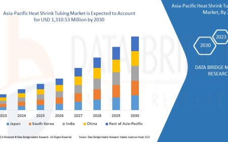 Asia-Pacific Heat Shrink Tubing Market Revenue Analysis: Growth, Share, Value, Size, and Insights