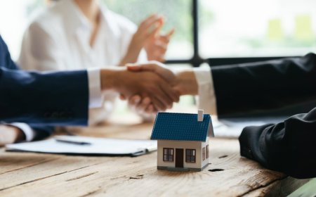 Discovering the Ideal Rental Property: The Worth of Hampstead Letting Agents