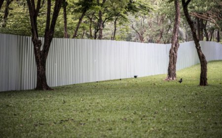 Top Fence Staining Companies Delivering Long-Lasting Results