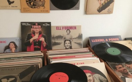 The Political Records That Were Banned