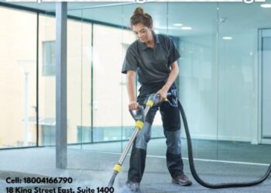 ﻿﻿How Carpet Cleaning Services Prevent Mold and Mildew Growth