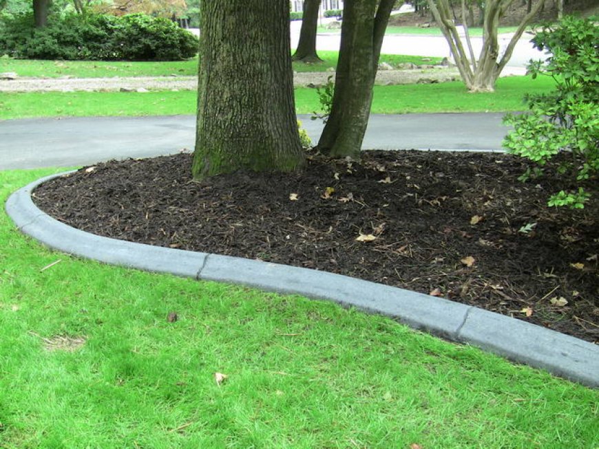 Lawn Edging: The Unsung Hero of Beautiful Landscapes