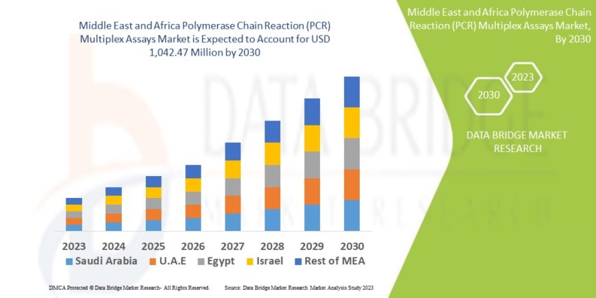 Middle East and Africa Polymerase Chain Reaction (PCR) Multiplex Assays Market Leaders: Growth, Share, Value, Size, and Scope