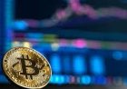 Easily Connect Crypto®️ USA Contact Numbers: Complete 2025 Support Guide