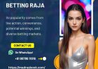 An insider look at Betting Raja’s VIP program and loyalty tiers