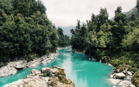 Bahrain Visa for Saudi Citizens: Everything You Need to Know