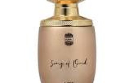 Why Musk Perfume is a Timeless Choice for Men in 2025