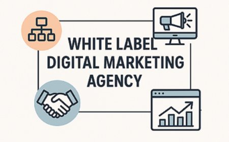 White Label Digital Marketing Agency – Scale Your Growth with Expert Solutions