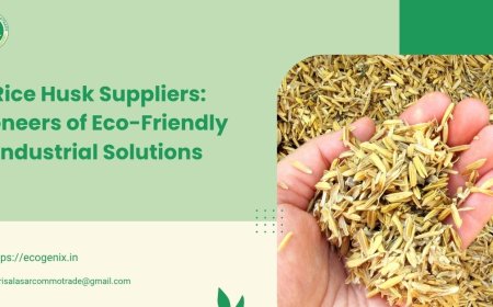 Rice Husk Suppliers: Pioneers of Eco-Friendly Industrial Solutions