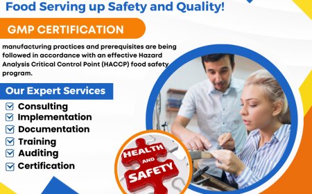 Case Study: Overcoming Regulatory Challenges with GMP Certification in Saudi Arabia