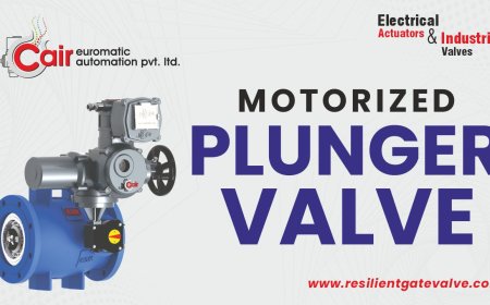 Buyer's Guide: Choosing the Right Plunger Valve for Your Project
