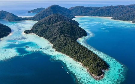 Your One-Stop Service for Phuket Car and Property Rentals