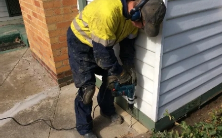 Termite-Treatment-Toronto: 15 Expert Tips to Eliminate Termites for Good