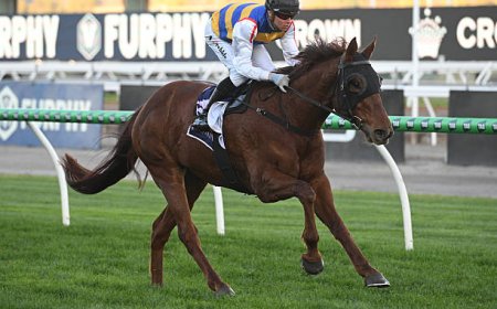 Unlocking Winning Potential: Discover the Best VicBet in Australia