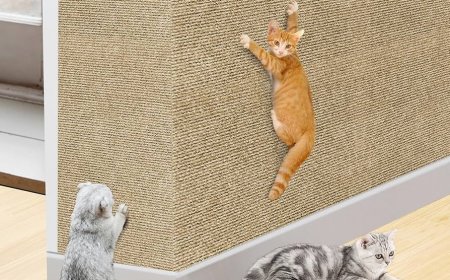 The Ultimate Comfort and Protection with a Cat Scratching Mat in the USA
