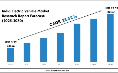 India Electric Vehicle Market Growth & Insights (2025–2030)