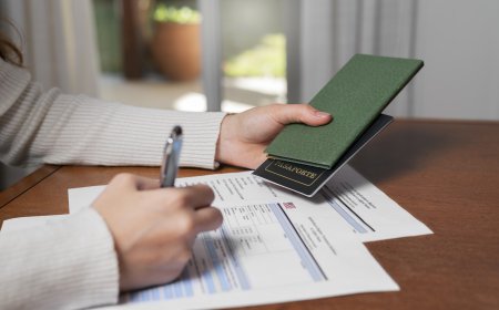 Understanding Entry Quotas on Multi-Entry Visas: Limits and Loopholes