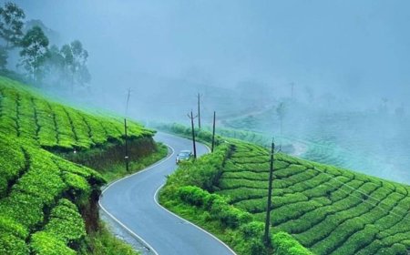 Romantic Escapes: Munnar Tour Ideas for Couples