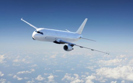How to Update or Modify Your Name on an Priceline Flight Reservation (2025 Guide)