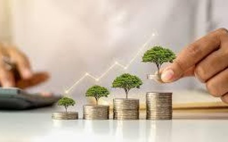 Crypto in 2025: Innovation, Regulation, and What Comes Next