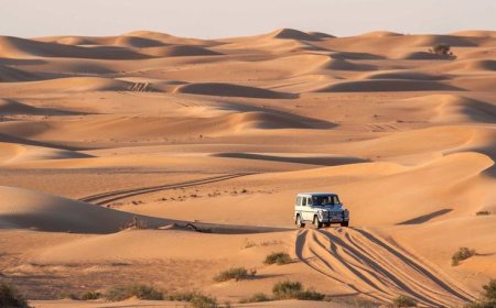 Best Desert Safari Tours: A Thrilling Adventure Across Arabian  Sands