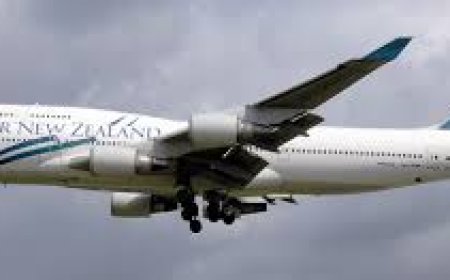 8 Ways to Call Virgin Australia Customer Service via Phone, Email, or Chat Options: Full Step by Step Guide