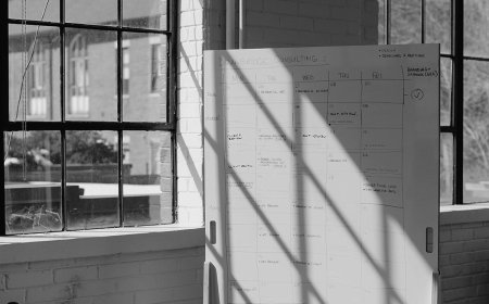 How MX5 Consulting Guides Leaders to Lasting Success