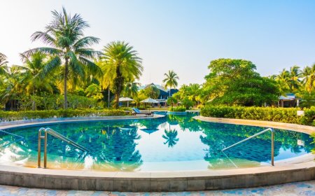 What Services Do Pool Companies in Houston Typically Offer?