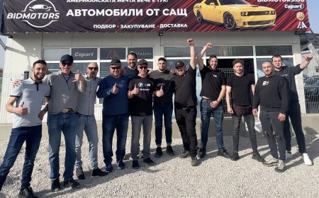 Купи автомобил на търг с минимални усилия и рискове