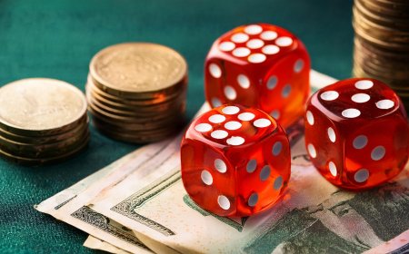 How to Get a Reddy Book ID for Online Cricket Betting: A Complete Guide