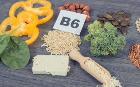 Zinco, Magnesio e Vitamina B6: Il Trio Essenziale per Energia, Muscoli e Sonno