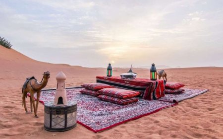 Dubai Desert Safari Packages: Discover the Ultimate Arabian  Adventure