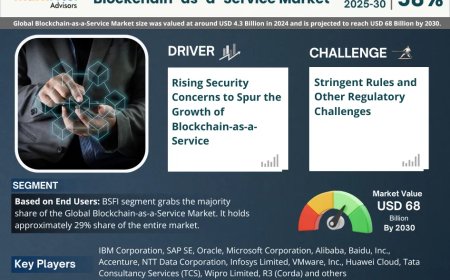 Global Blockchain-as-a-Service Market Size, Share, Growth Report 2030