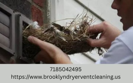 What Are Brooklyn’s Regulations on Bird and Pet Removal?