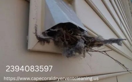 What Is the Safest Method for Pet and Bird Removal in Cape Coral