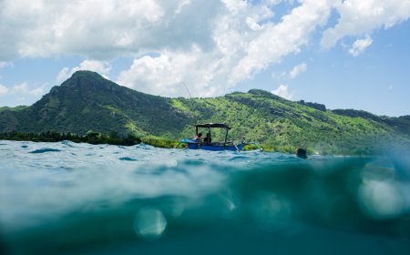 From Ocean to Table: Enjoying Your Fresh Catch from a Florida Deep Sea Charter.