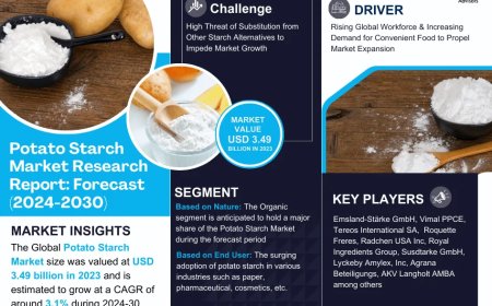 Potato Starch Market Projected to Expand Rapidly with 3.1% CAGR by 2030