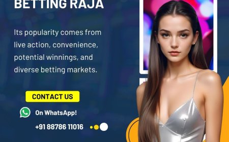 An insider look at Betting Raja’s VIP program and loyalty tiers