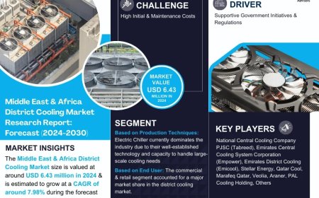Middle East & Africa District Cooling Market Share & Forecast 2024–2030: Insights & Drivers