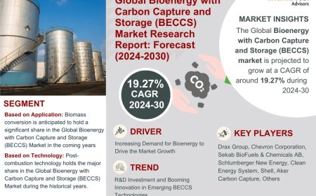 Bioenergy with Carbon Capture and Storage (BECCS) Market Projected to Expand Rapidly with 19.27% CAGR by 2030